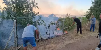 Çorum Alaca'da Çıkan Anız Yangını Tarım Alanında Zarara Yol Açtı