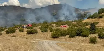 Bingöl'de merada ve ormanlık alanda çıkan yangın kontrol altına alındı