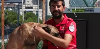 Arama Kurtarma Köpekleri Doğal Afetlerde Hayat Kurtarıyor