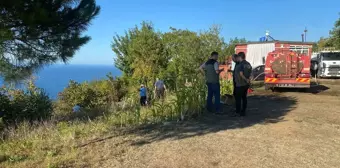 Zonguldak'ta fındık bahçesinde çıkan yangın kontrol altına alındı