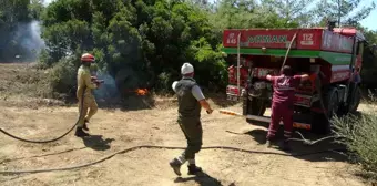 Çanakkale'de Orman İşletme Şefi Yangın Sonrası Görevine Devam Etti