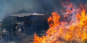 İzmir alev alev! Ekiplerin evlere kadar ulaşan alevlerle mücadelesi devam ediyor