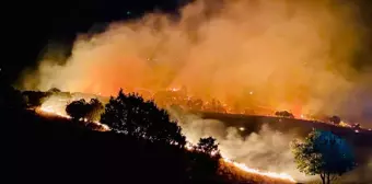 Tunceli'de çıkan orman yangınının sebebi açıklandı