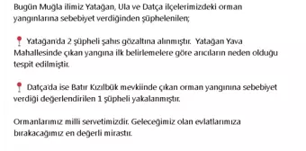 Muğla'da çıkan orman yangınlarına sebebiyet veren şüpheliler yakalandı