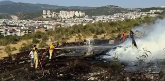 Bursa'da çocukların oyunu orman yangınına dönüştü