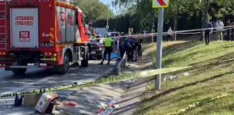 İstanbul'da piknik yapan aileye araç çarptı: 1 ölü