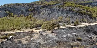 İzmir Karşıyaka'da Orman Yangını: Dron İle Görüntülendi