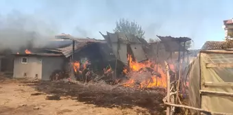 Tokat'ın Erbaa ilçesinde yangın: Ahır ve samanlık zarar gördü