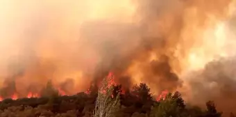 Muğla'daki Orman Yangınları Kontrol Altına Alındı