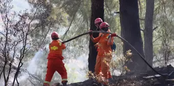 Muğla'da orman yangını kontrol altına alındı