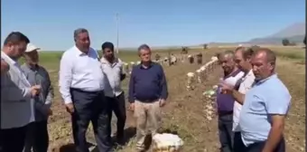 CHP Milletvekili Gürer, Patates Üreticilerinin Sorunlarını Dinledi