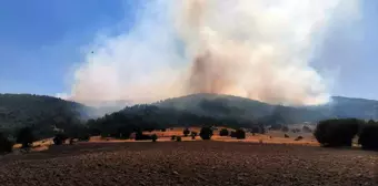 Afyonkarahisar'da Orman Yangını