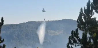 Afyonkarahisar'da Orman Yangını