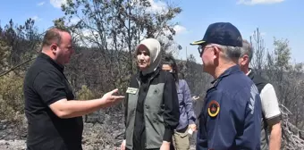 Afyonkarahisar'da çıkan yangınla ilgili 1 şüpheli gözaltına alındı