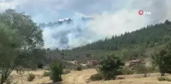 Akharım'da orman yangını sürüyor