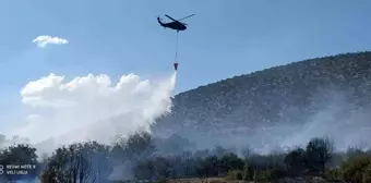 Isparta'da çıkan orman yangını hızlı müdahale ile söndürüldü