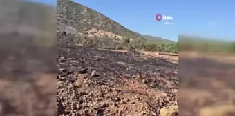 Isparta'da çıkan orman yangını hızlı müdahale ile söndürüldü