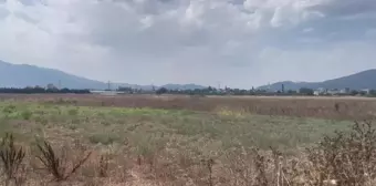 İznik Gölü Yakınında Kurulması Planlanan Varaka Kağıt Fabrikası'na Bölge Sakinlerinden Protesto