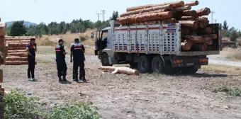 Çanakkale'de Tomruk Kazası: Kamyon Sürücüsü Hayatını Kaybetti