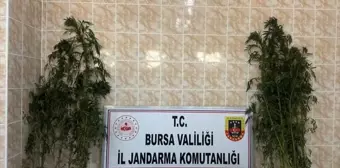 İznik'te Uyuşturucu Operasyonunda Yakalanan Zanlı Tutuklandı