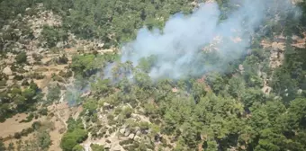 Muğla'da Orman Yangını: Ekipler Alevlere Müdahale Ediyor