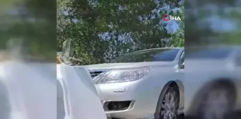 Otomobilin motoruna sıkışan kedi için seferber oldular