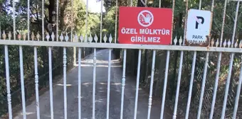 Vaniköy'de Orman Arazisinde İnşaat İncelemesi