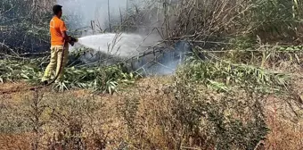 Hatay'da İskenderun ve Arsuz ilçelerinde çıkan yangınlar söndürüldü