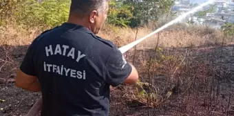 Hatay'ın Defne ilçesinde çıkan bahçe yangını söndürüldü