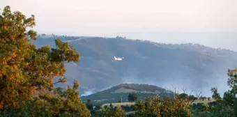 Uşak'ın Eşme ilçesinde çıkan yangınlara havadan ve karadan destek devam ediyor