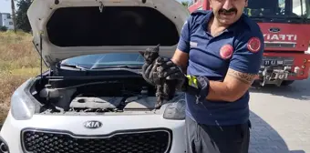 Park halindeki cipin motor kısmına sıkışan kedi yavrusu kurtarıldı