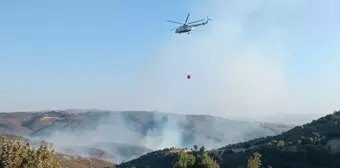 Uşak'ın Eşme ilçesinde meşelik alanlarda çıkan yangınlara müdahale ediliyor