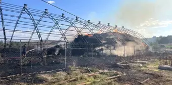 Tekirdağ'da Koyun Ağılında Yangın Çıktı