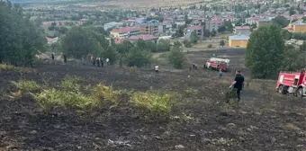 Tokat'ın Reşadiye ilçesinde ot yangını: 2 dönüm alan zarar gördü