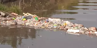 İstanbul'da Şiddetli Yağış Sonrası Derelerde Çöp Yığınları Oluştu