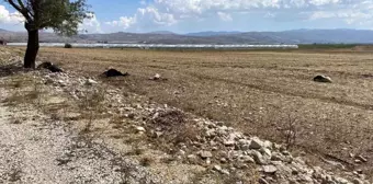 Antalya'da Şiddetli Yağış Sonucu Evler ve Tarım Arazileri Hasar Gördü