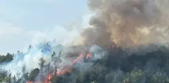 Antalya'da Orman Yangınına Havadan ve Karadan Müdahale