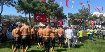 Bahçelievler'de Geleneksel Kocasinan Yağlı Güreşleri Başladı