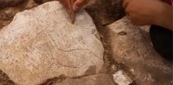 Göbeklitepe'de bile böylesi görülmedi! Dünya tarihine ışık tutacak keşif