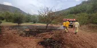 Bilecik'te Orman Yangını Kontrol Altına Alındı