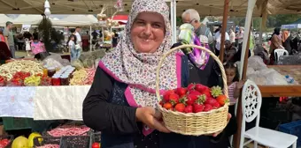 Sakarya'da Çilek Festivali Gerçekleştirildi