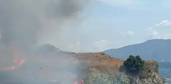 Erdek'te çıkan yangın itfaiye ve vatandaşlar tarafından söndürüldü