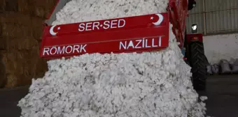 Nazilli'de pamuk sezonu açıldı