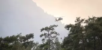 Muğla'da orman yangını: Yerkesik-Akbük kara yolu ulaşıma kapatıldı