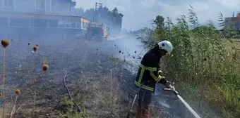 Arsuz'da çıkan yangınlar söndürüldü