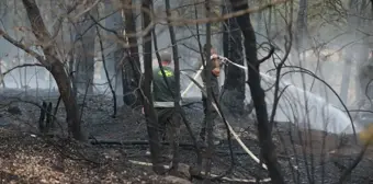 Bolu Göynük'te çıkan yangın kontrol altına alındı