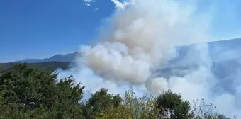 Tokat'ın Reşadiye ilçesinde örtü yangını: 20 dönüm alan zarar gördü