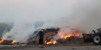 Adana'da anız yangını Seyhan Belediyesi şantiyesine sıçradı