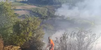 Antalya Aksu'da Orman Yangınına Hava ve Kara Müdahalesi