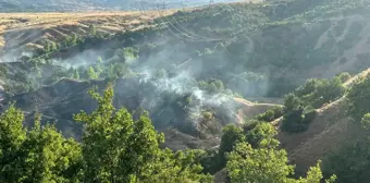 Bingöl'ün Genç İlçesinde Orman Yangını Kontrol Altına Alındı